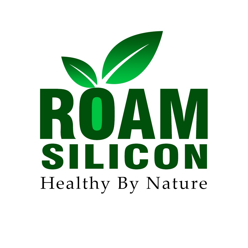 Roam Silicon Logo